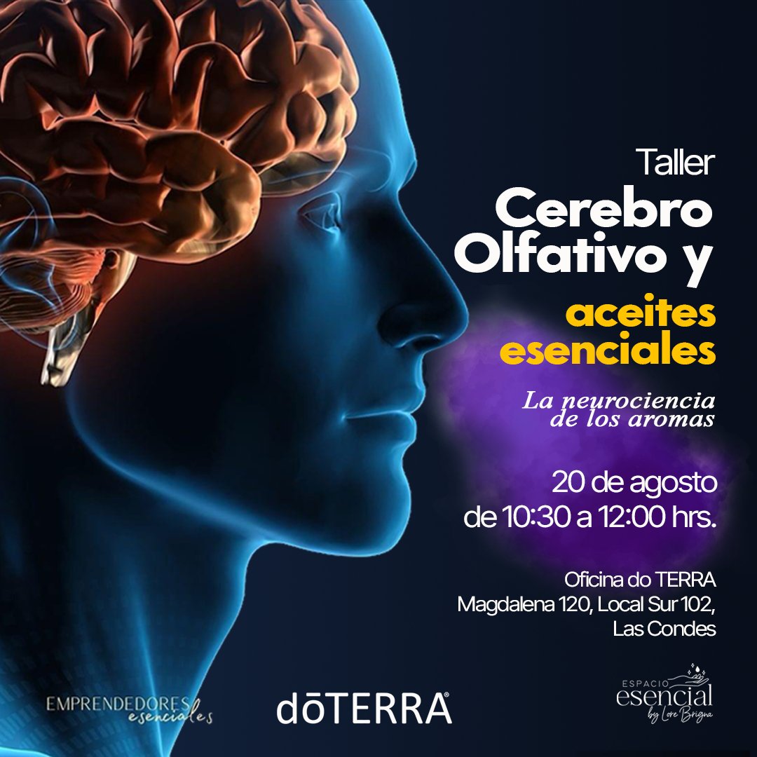 Cerebro Olfativo